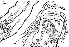 嚄5把陆5v5n856g45vve